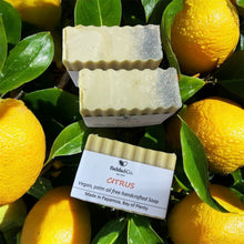 Load image into Gallery viewer, Citrus Body Bar