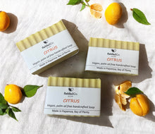 Load image into Gallery viewer, Citrus Body Bar
