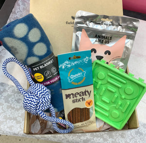 Dog Gift Box