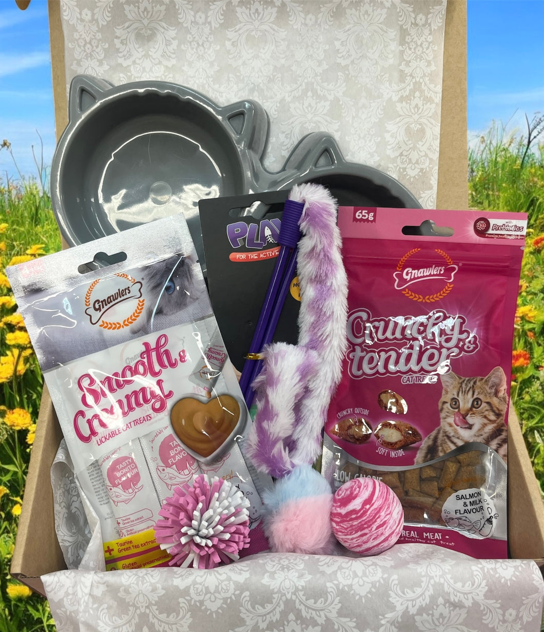 Cat Gift Box