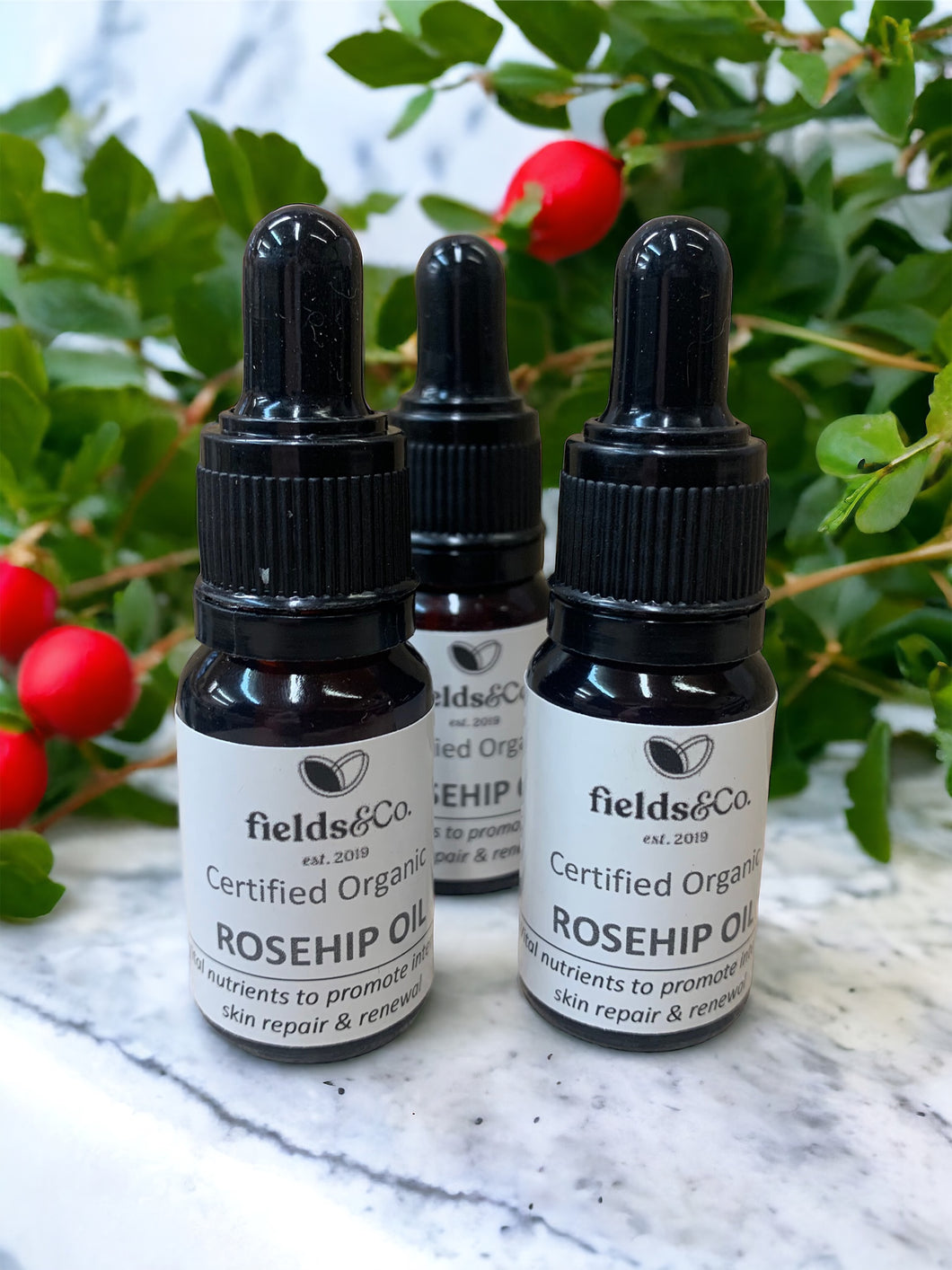 Rosehip Oil - Certified Organic